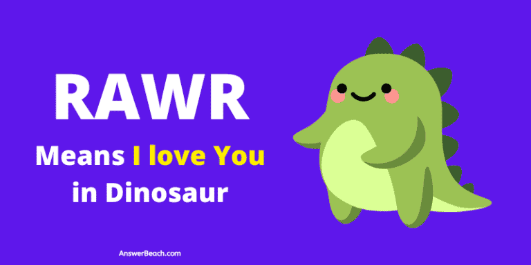 What Does Rawr Mean In Dinosaur It Means I Love You Answer Beach 