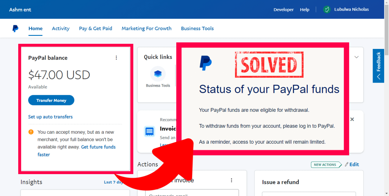 How To Withdraw Money From a Permanently Limited PayPal Account?